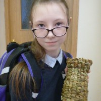 Отличные результаты!